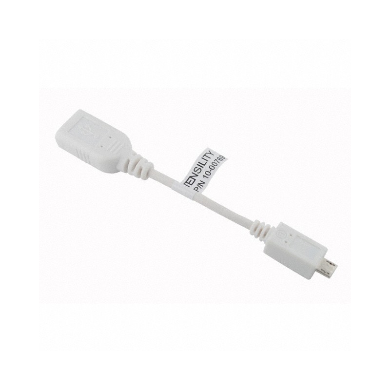 1 pcs : 10-00769 - CBL USB2.0 A RCP-MCR B PLG 0.33'
