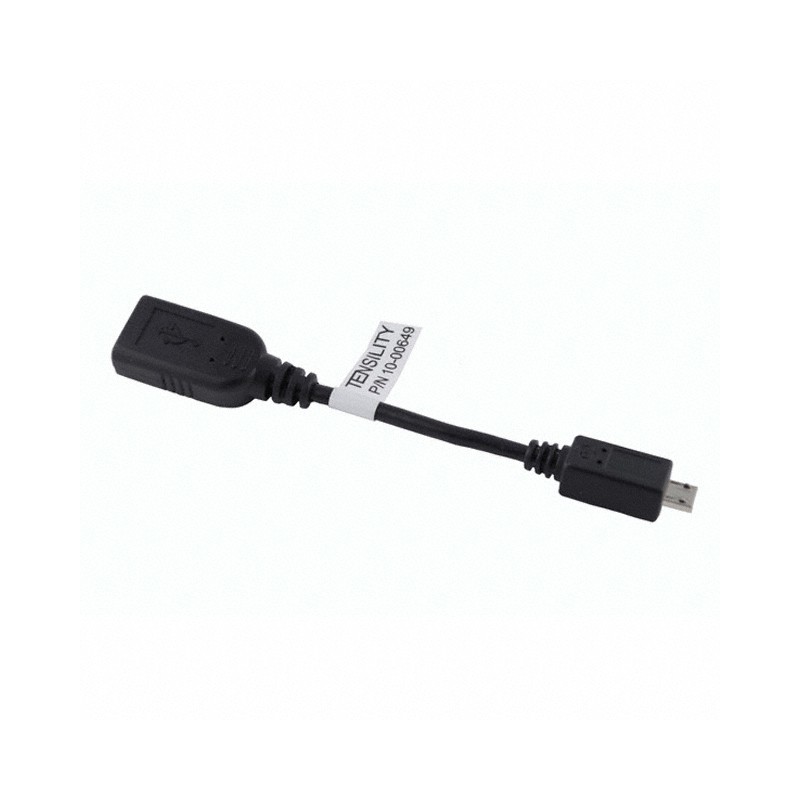 1 pcs : 10-00649 - CBL USB2.0 A RCP-MCR A PLG 0.33'