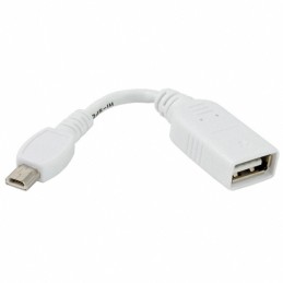 1 pcs : 10-00003 - CBL USB2.0 A RCP-MIN A PLG 0.33'