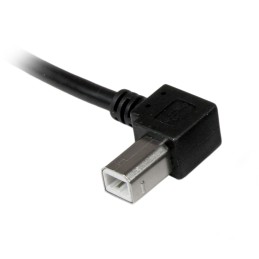1 pcs : USBAB2ML - 2M LEFT ANGLE USB B CABLE