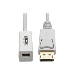 1 pcs : P134-06N-MDP - CABLE DISPLAYPORT M TO MINI F 6'