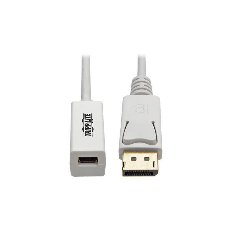 1 pcs : P134-06N-MDP - CABLE DISPLAYPORT M TO MINI F 6'