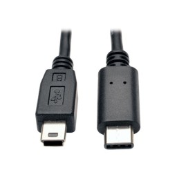 1 pcs : U040-006-MINI - CBL USB2.0 MIN B PLUG-C PLUG 6'