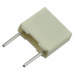 1 pcs : RSBDC3100AA00J - CAP FILM 0.1UF 5% 63VDC RADIAL