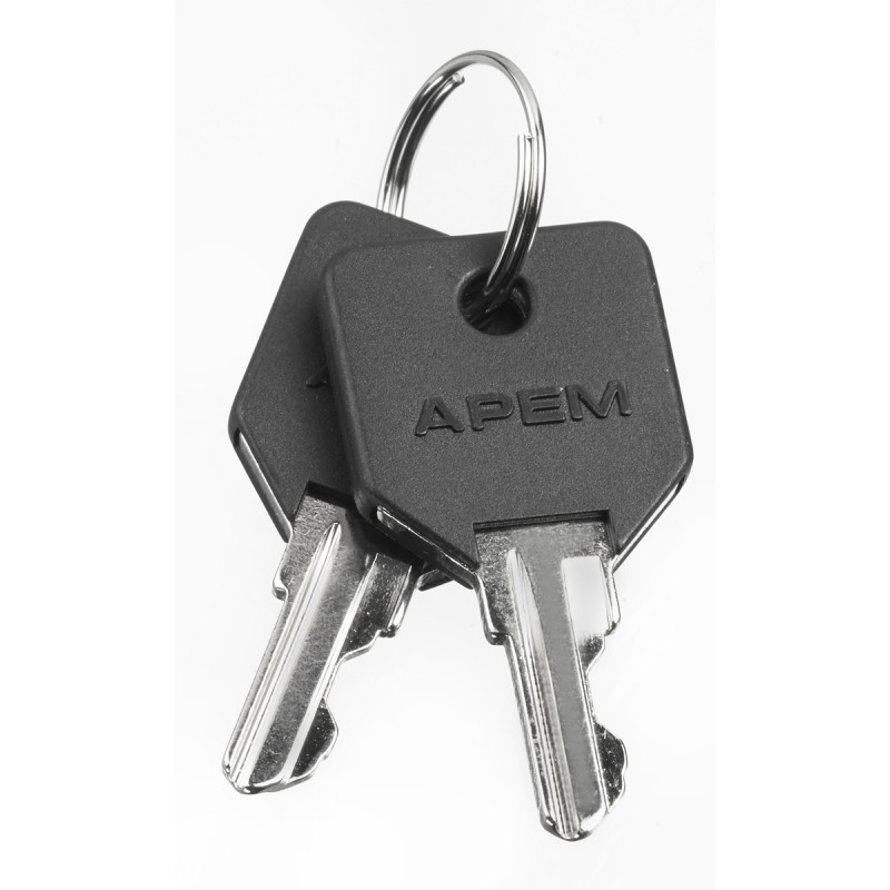 2 pcs - Spare Key for LK Series