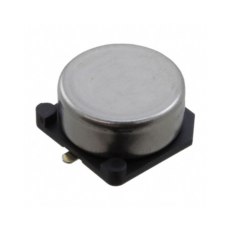 1 pcs : FCS0H104ZFTBR24 - CAP 100MF -20% +80% 5.5V SMD