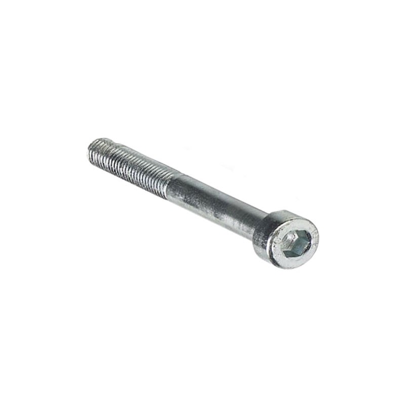 1 pcs : 0801728 - SCREW REPLACEMENT