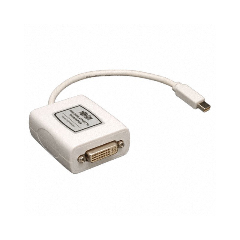 1 pcs : P137-06N-DVI - MINI DISPLAYPORT TO DVI ADAPTER