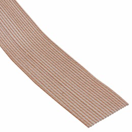 1 pcs : 310J101-20 - CBL RIBN 20COND .05 CLEAR FOOT