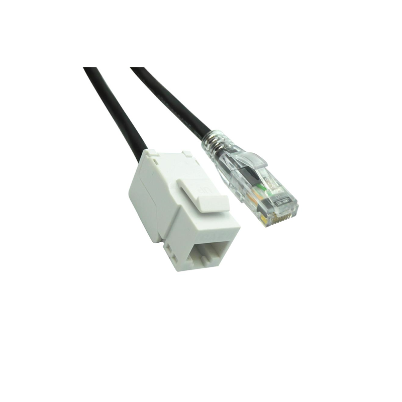 1 pcs : BM-6AJPK010F - CABLE MOD 8P8C JACK TO PLUG 10'