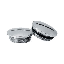 1 pcs : 1021 M/G - SCREW PLUG O-RING 21