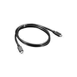 1 pcs : 4199 - CABLE C PLUG TO C PLUG 3.28'