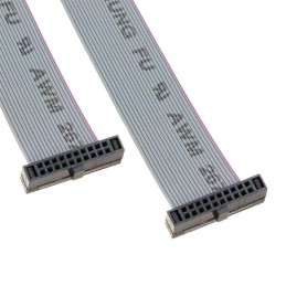 1 pcs : M50-9111042 - 10+10 IDC SKT TO SKT 300 LONG