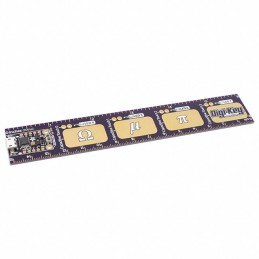 1 pcs : 4319 - PYRULER WITH EMBEDDED TRINKET M0