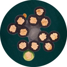 50 pcs - Igus chainflex CF5 Control Cable, 7 Cores, 0.5 mm², Unscreened, 50m, Green PVC Sheath, 20 AWG