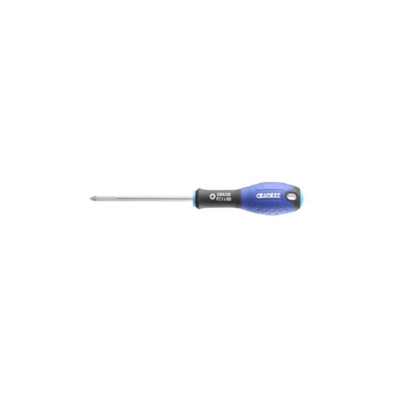 1 pcs - Expert by Facom Pozidriv Screwdriver, PZ2 mm Tip