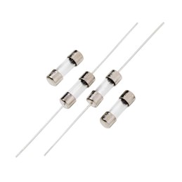 1 pcs : 2206001.HXP - FUSE GLASS 1A 300VAC 2AG