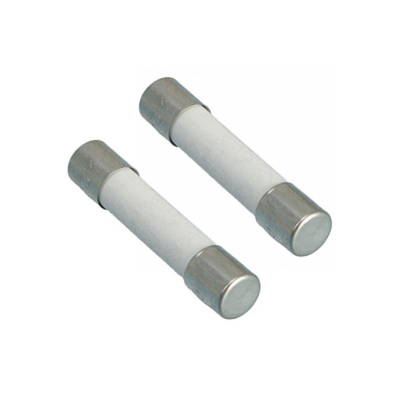 1 pcs : A110 - FUSE CERAMIC 10A 600VAC 3AB 2PC