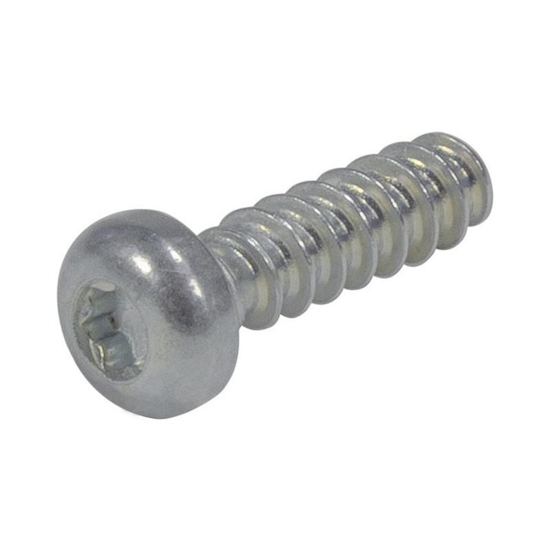 1 pcs : 09060019979 - DIN-POWER-SCREW PLASTIC-2,2 X 8-