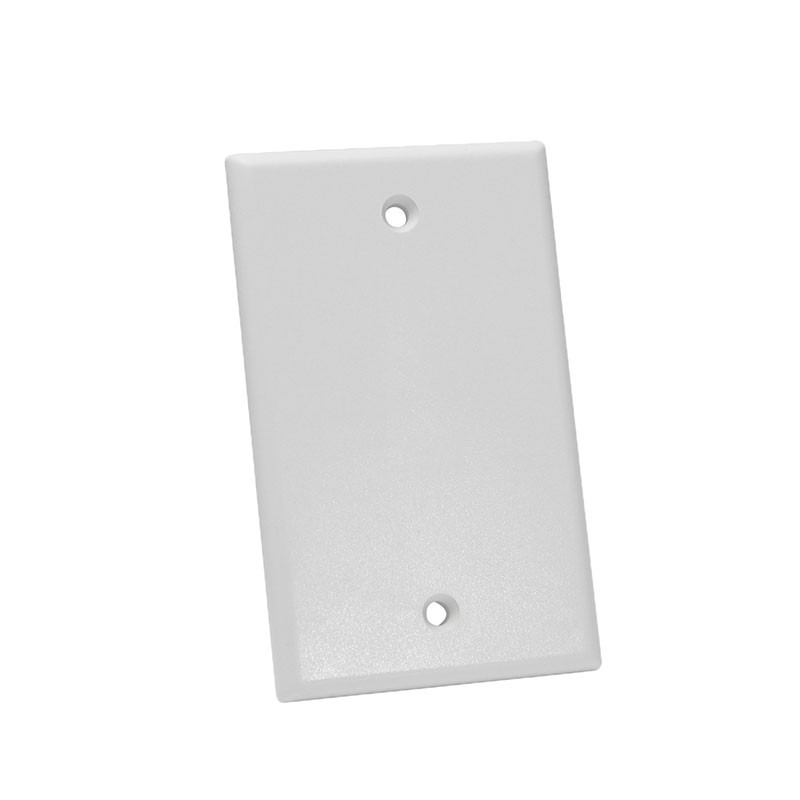 1 pcs : NFP-1008 - KEYSTONE WALL PLATE SINGLEGANG