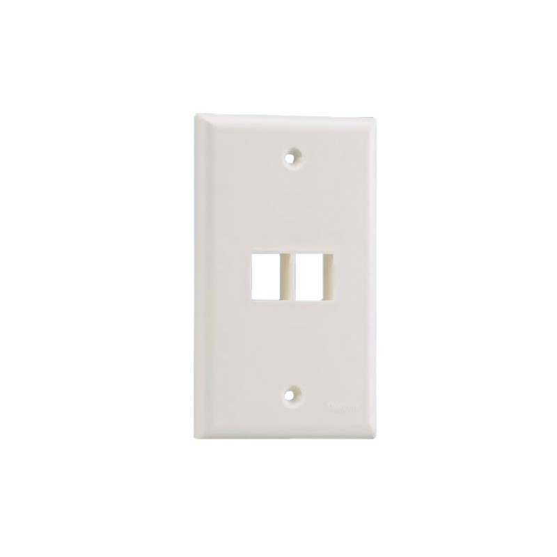 1 pcs : NK2FNIG - FACEPLATE SNGL GANG 2PORT GRAY