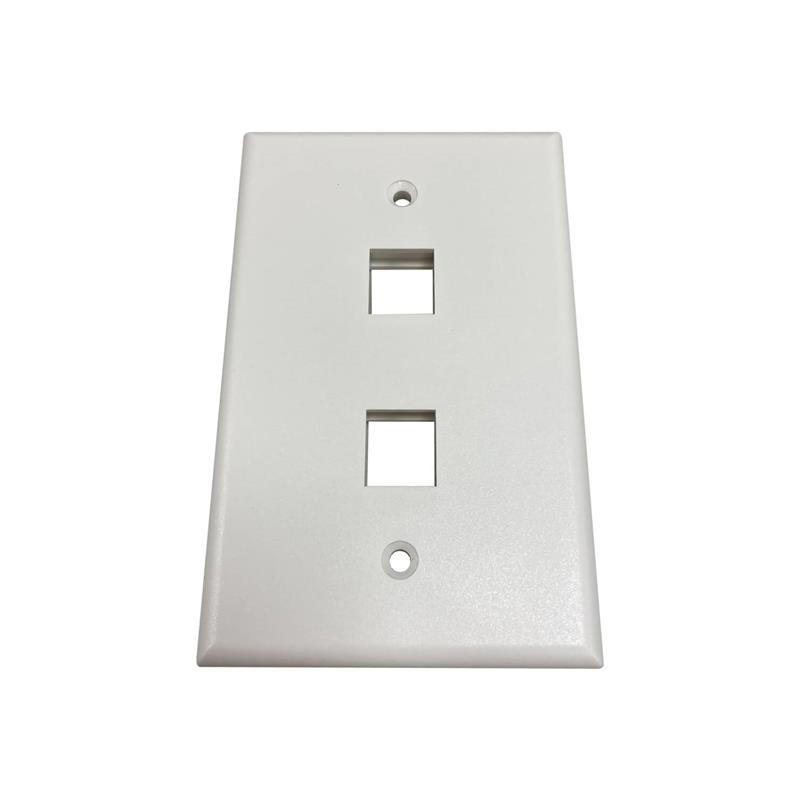 1 pcs : N042AB-002-IVM - SAFE-IT 2-PORT SINGLE-GANG KEYST