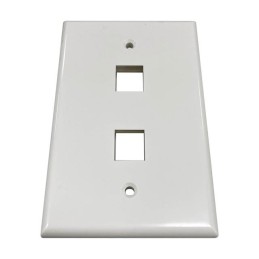 1 pcs : N042AB-002-IVG - SAFE-IT 2-PORT SINGLE-GANG KEYST