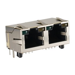 1 pcs : GWLGX-S1288-G/Y - GANGJACK RT&lt2 PORT 8P8C SHIELDED