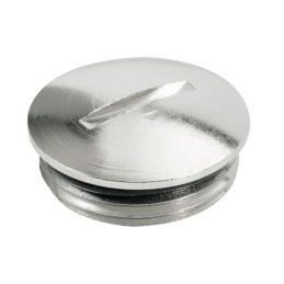 1 pcs : 0295100000 - PLUG BLANKING BRASS PG 21