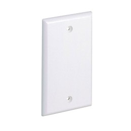 1 pcs : CPNIW - FACEPLATE BLANK WHITE