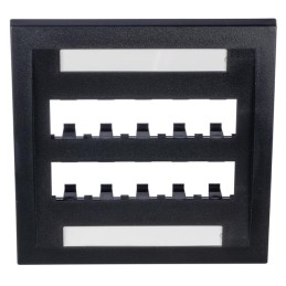 1 pcs : CFPE10BL-2GY - FACEPLATE, 10 PORT, DOUBLE GANG,