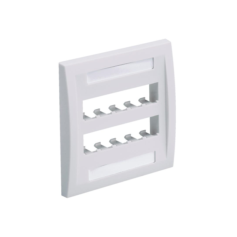 1 pcs : CFPE10IG-2GY - FACEPLATE, 10 PORT, DOUBLE GANG,