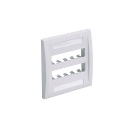 1 pcs : CFPE10EI-2GY - FACEPLATE, 10 PORT, DOUBLE GANG,