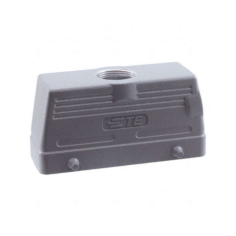 1 pcs : T1220240121-000 - H24B-TG-PG21