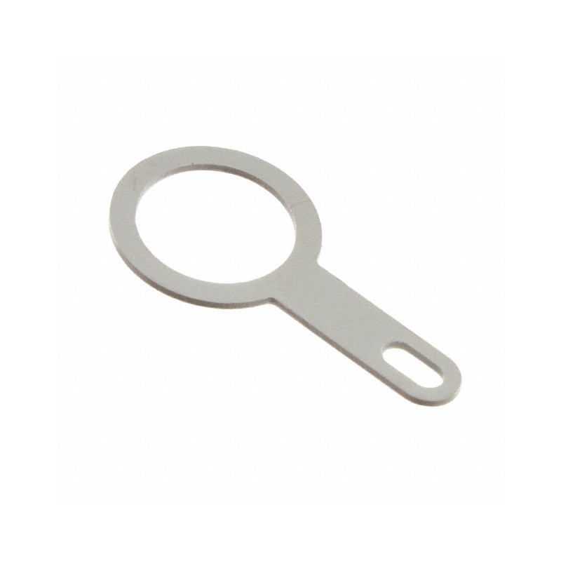 1 pcs : GCA.00.255.LT - CONN EARTHING WASHER