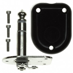 1 pcs : 237 - CONN PLUG STEREO 6.35MM RA 3COND