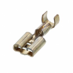 1 pcs : 41445 - .250 FAST REC IS BR