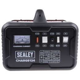 1 pcs - RS PRO Battery Charger For Lead Acid 12V 28A with UK plug