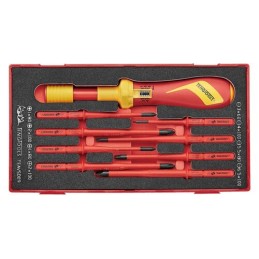 1 pcs - Teng Tools Torque Screwdriver & Blade Set