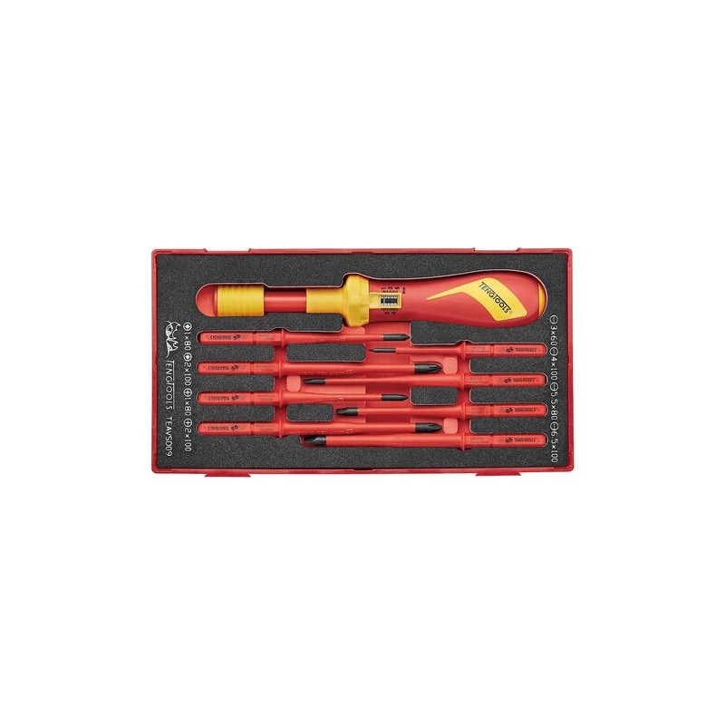 1 pcs - Teng Tools Torque Screwdriver & Blade Set