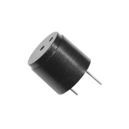 1 pcs : IP154012-1 - BUZZER PIEZO 12V TH