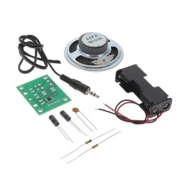 1 pcs : 2165 - MONO AMPLIFIER VERSION 3.0