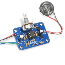 1 pcs : MAUDIOAMP - Micro Audio Amp