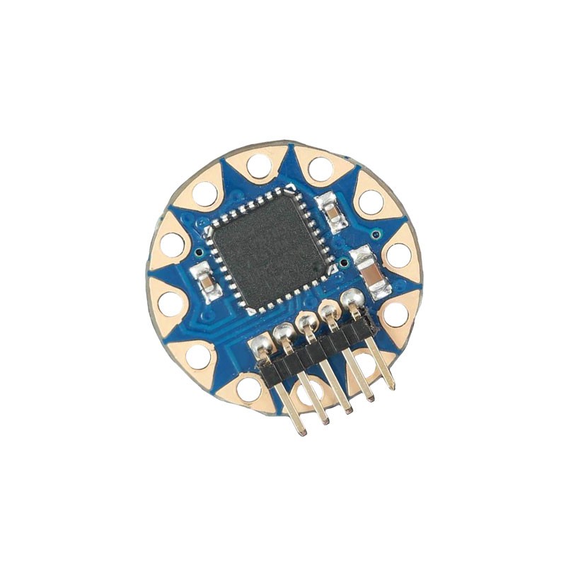 1 pcs : ASM2101 - TINYLILYMINIPROCESSORBOARD