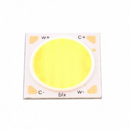 1 pcs : BXRV-TR-2765G-30A0-A-23 - LED COB VESTA WHITE SQUARE 4600K