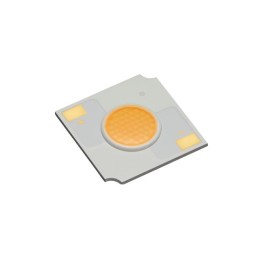 1 pcs : CLU713-1204E1-403H5X3 - LED COB CLU713 NEUT WHT SQ 4000K