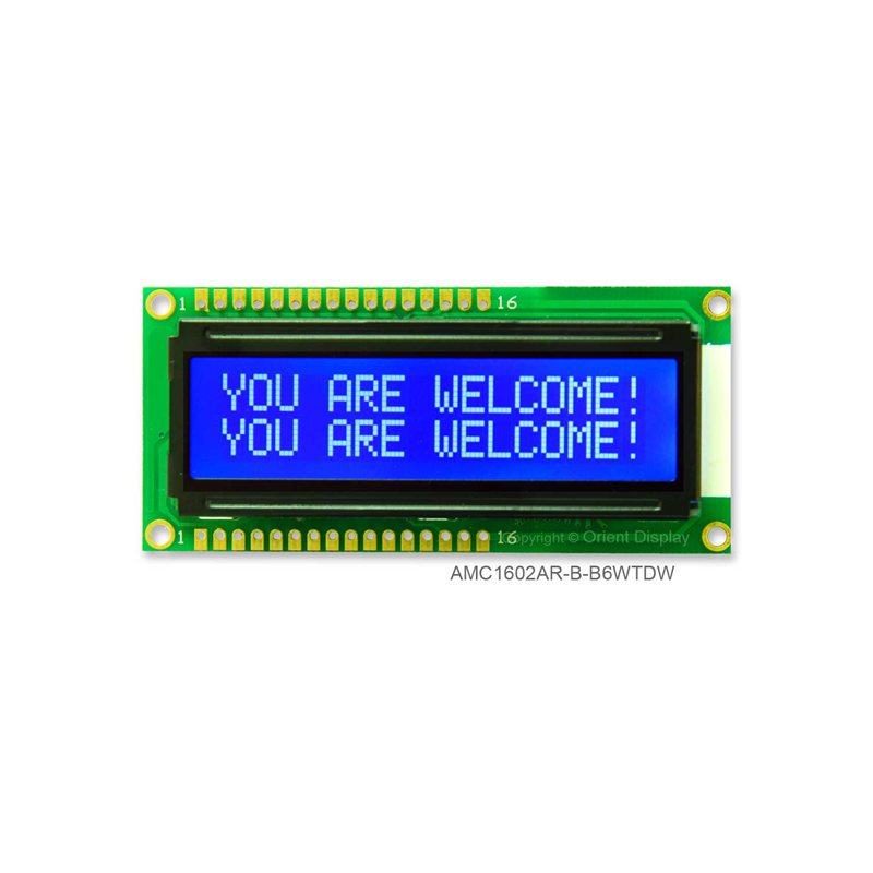 1 pcs : AMC1602AR-B-B6WTDW - 16X2 CHARACTER STN NEGATIVE BLUE