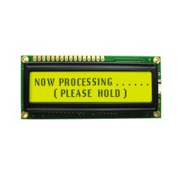 1 pcs : NHD-0220GZ-FL-YBW - LCD MOD 40DIG 20X2 TRANS YLW/GRN