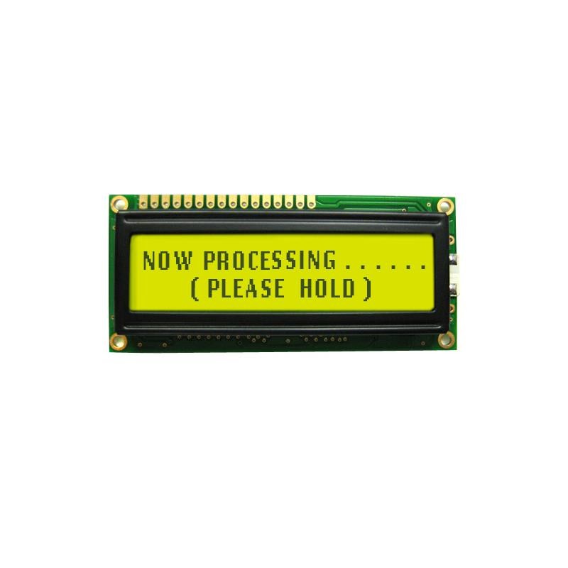 1 pcs : NHD-0220GZ-FL-YBW - LCD MOD 40DIG 20X2 TRANS YLW/GRN