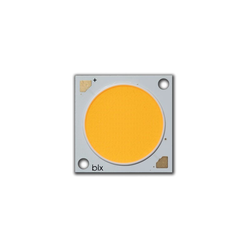 1 pcs : BXRE-65E6501-C-83 - LED COB V22 CL WHT SQUARE 6500K